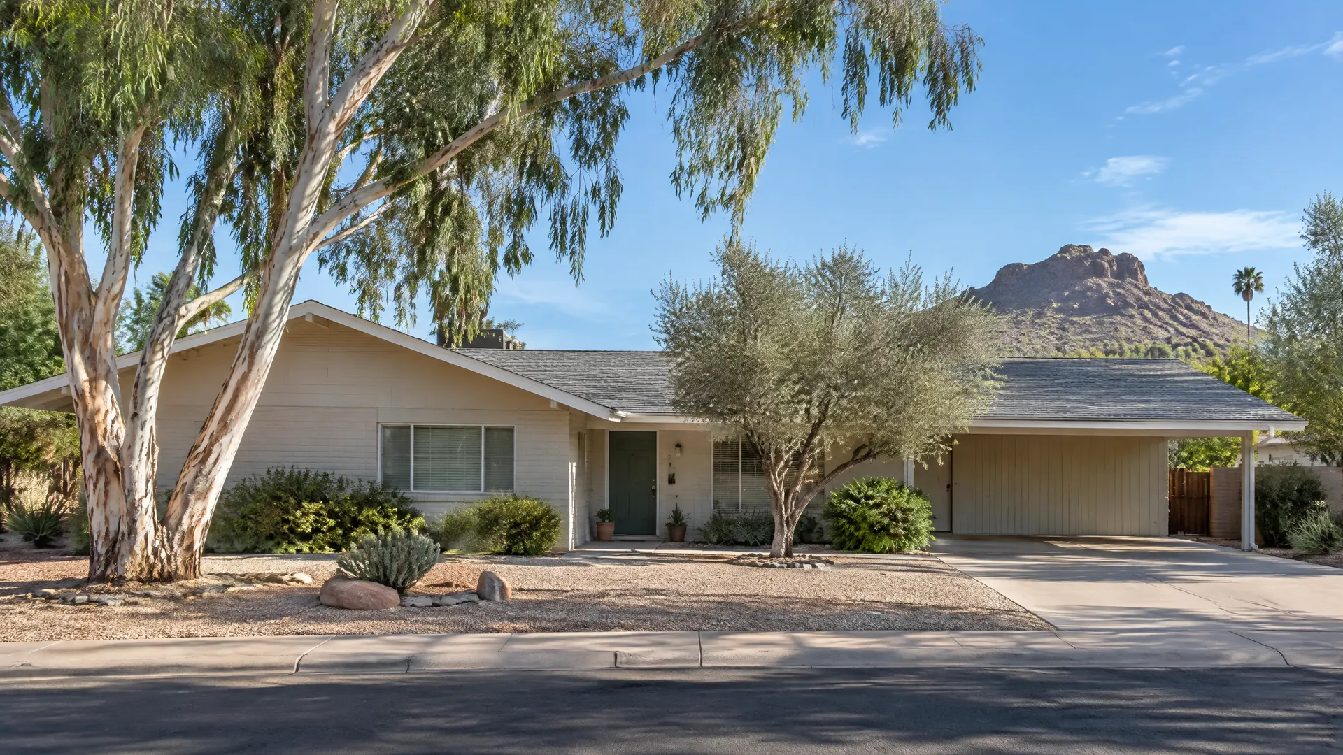 Early-1960s single-story ranch home in north Tempe, Arizona with a long low gable roof and new architectural shingles, carport, mature eucalyptus and olive trees, rocky desert butte visible in the distance