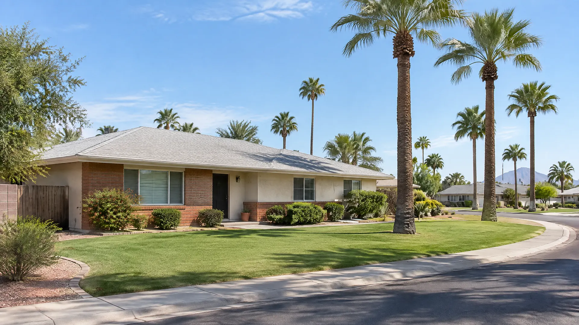 1950s single-story brick and stucco ranch house on a curving residential street in an older Tempe, Arizona neighborhood, low-pitched roof with new light gray shingles, tall date palm trees along the street, green lawn